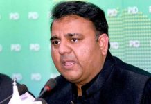 Fawad welcomes Spanish investment in energy, tourism