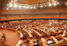 Senators call for reduction in gas, electricity prices