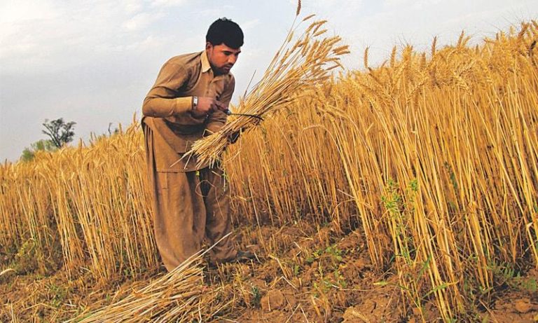 Govt to introduce marketing platforms for farmers