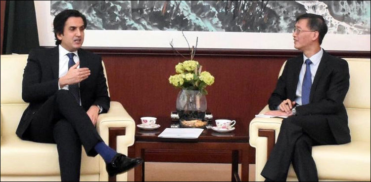 ‘Attacks cannot keep Pakistan, China from strengthening bilateral ties’