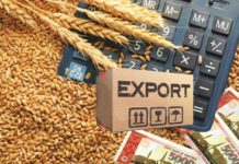 ECC allows export of 500,000 tonnes of wheat