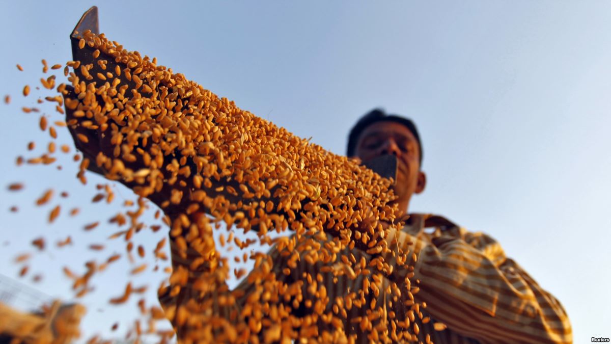 Pakistan set to gift 40,000 metric tons of wheat to Afghanistan
