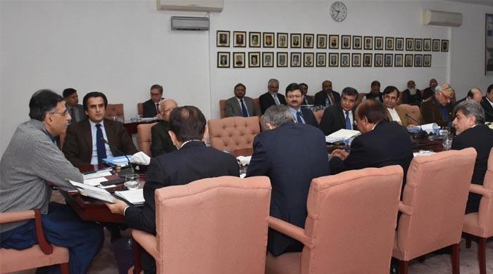 ECNEC approves installation of power plant to facilitate Diamer-Bhasha Dam ECNEC approves installation of power plant to facilitate Diamer-Bhasha Dam