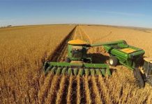 Pakistan, China sign MoU for agricultural enhancement