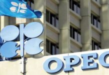 OPEC ready to balance oil market: official
