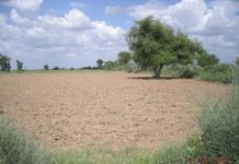 Loan size for Rabi crops being raised to Rs30,000 under E-credit scheme