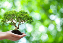 How Zahoor Sarwar made energy conservation his business