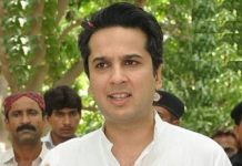 Punjab has better investment climate: Hashim