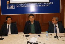 Asad Umar lauds overseas investors’ contributions, assures redressal of woes