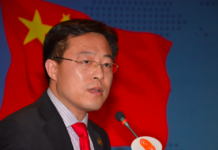 ‘Terms for Chinese assistance being worked out but numbers can’t be revealed’