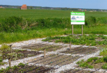 Zilt Proefbedrijf interested in setting up joint venture in agriculture sector