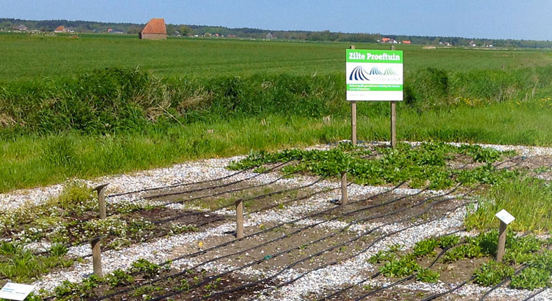Zilt Proefbedrijf interested in setting up joint venture in agriculture sector
