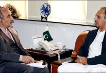 Pakistan seeks renewal of 100MW electricity import agreement with Iran