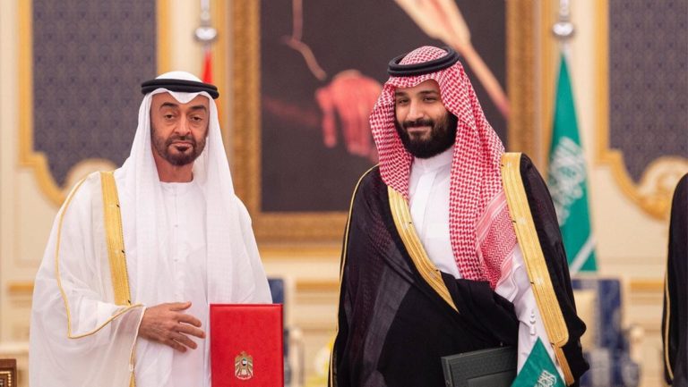 Saudi, Emirati crown princes to visit Pakistan in 2019