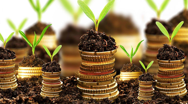 Govt eyes Rs300bn revenue from agricultural income tax with provincial cooperation