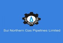 Govt appoints Amer Tufail as SNGPL managing director