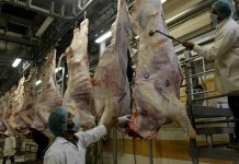 Pakistani exporters urged to tap Malaysian meat market