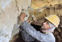 Planning Commission holds consultative session to formulate mineral policy