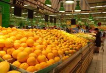 ‘Philippines, China open to Pakistan’s citrus export’