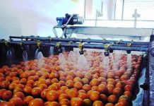 ‘Horticulture export can fetch $2.5bn in five years’