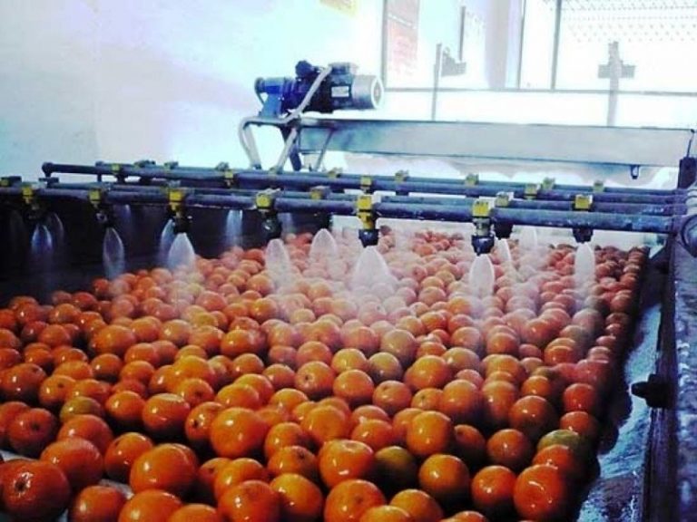 ‘Horticulture export can fetch $2.5bn in five years’