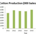 Cotton Production