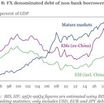 FX denominated debt of non-bank borrowers