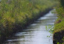 KP planning to line 20,000 watercourses in next five years