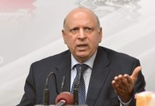 Punjab Governor urges expats to invest into Pakistan