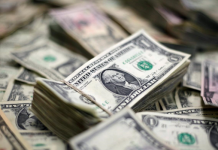 Govt borrowed $2.3bn in first half FY19