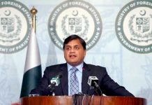 Pakistan, Saudi Arabia to sign MoUs on drug control, renewable energy: FO