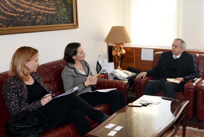 Dutch investors to explore Pakistani market next month