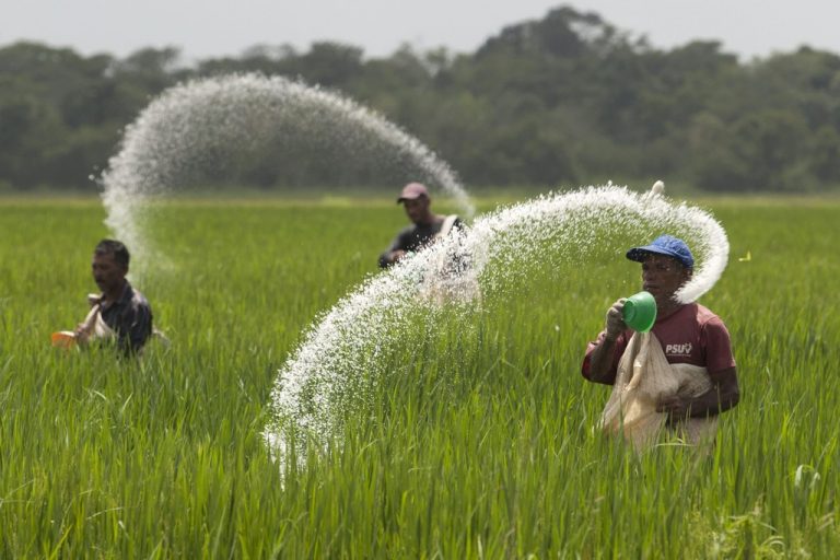 Price of Urea bag likely to be reduced by Rs200