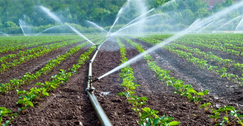 Water reforms can lead to environmental, economic benefits in Pakistan: WB