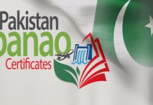 Diaspora bond sale rakes in $1 million in less than two weeks