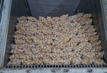 Pakistan exported 570,000 tonnes of potatoes in one year