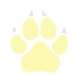 Cheetay-1