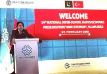Turkey finalising strategic economic framework for future investments in Pakistan