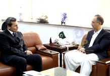 Pakistan, Turkmenistan to form JWG on electricity transmission line