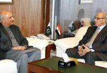 ‘Govt striving hard to facilitate foreign investors’Â