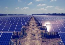 ‘Pakistan can generate 2.9m MW clean energy from solar power’