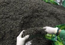 Tea imports dip 1.12pc in eight months FY19