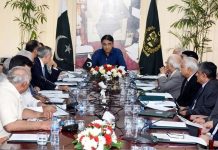 Govt appoints eight private directors for Sarmaya-e-PakistanÂ