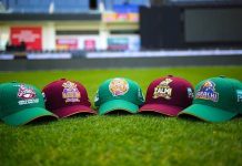 Is the Pakistan Super League a viable business opportunity?