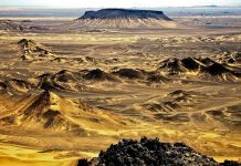 Pakistan military eyes key role developing giant copper and gold mine