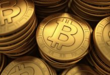 Big corporates back crypto ‘plumbing’ despite currency caution