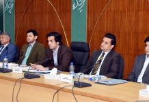 CDWP clears two projects worth Rs17.2bn