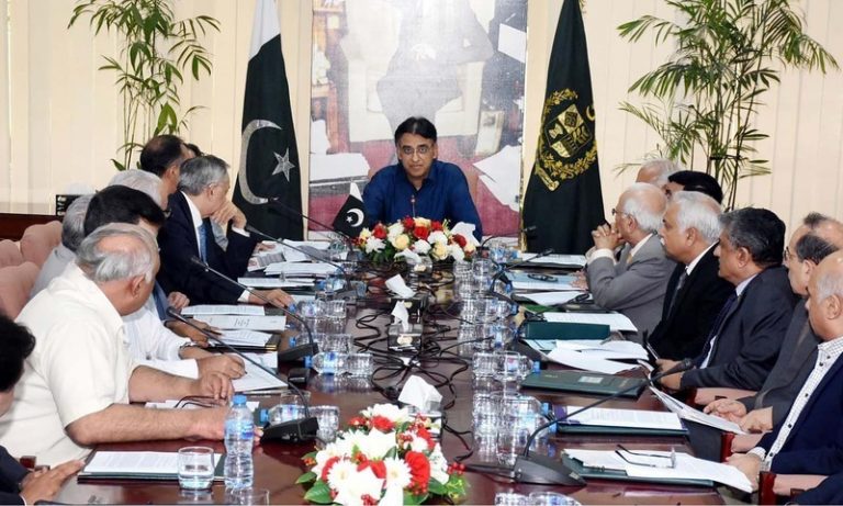 Asad Umar to chair ECC meeting tomorrow
