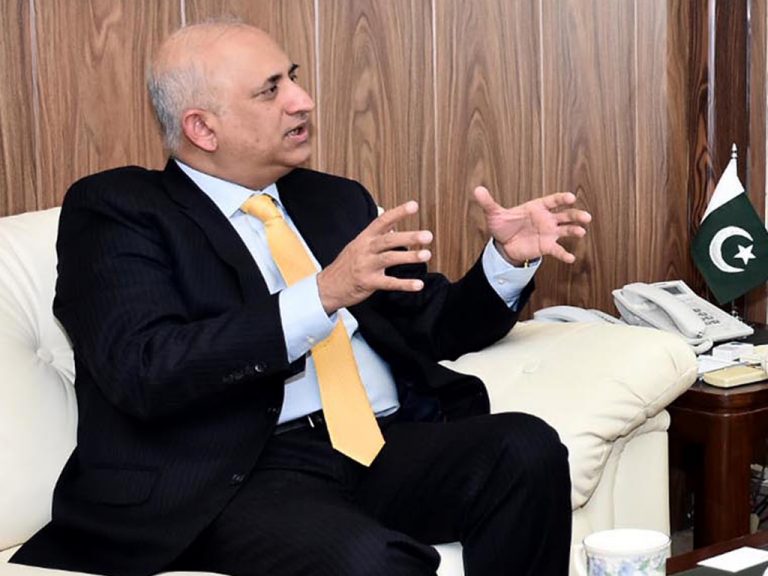 BOI stresses concerted efforts for development of SEZs