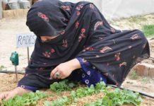 FAO trains 400 Baloch women in agri-entrepreneurship